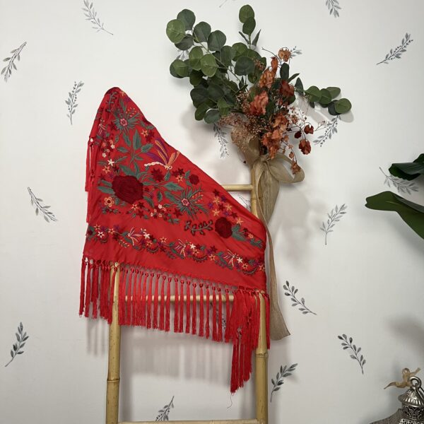 Albies_flamenca164
